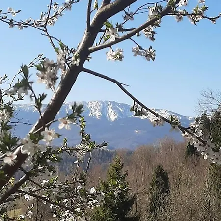 Chalet Z Widokiem W Gorach *