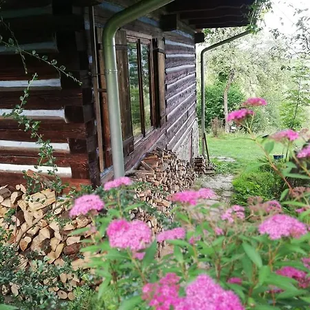 Z Widokiem W Gorach Chalet *