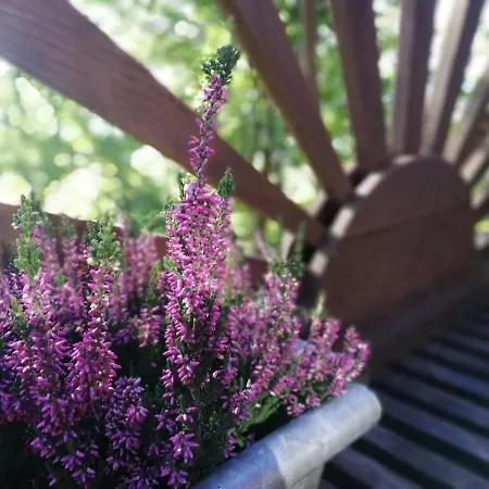 Z Widokiem W Gorach Chalet *