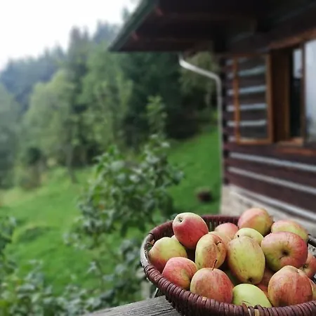 Z Widokiem W Gorach Chalet Zawoja