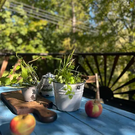 Z Widokiem W Gorach * Zawoja