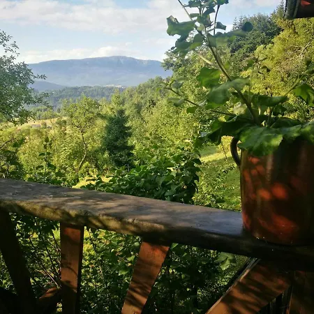 Z Widokiem W Gorach Σαλέ *