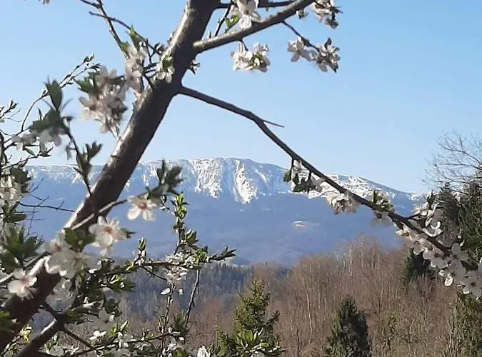 Chalet Z Widokiem W Gorach *