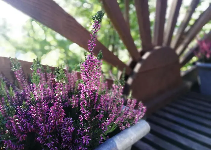 Z Widokiem W Gorach Chalet *