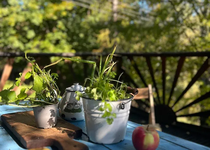 Z Widokiem W Gorach * Zawoja