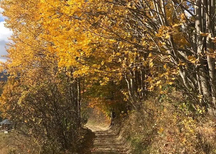 Chalet Z Widokiem W Gorach Zawoja