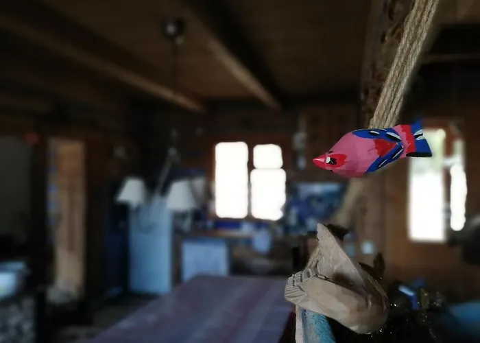 Z Widokiem W Gorach Zawoja